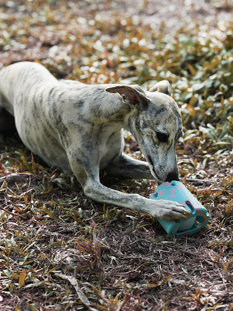 Interactive Dog Treat Dispenser Toy - Blue