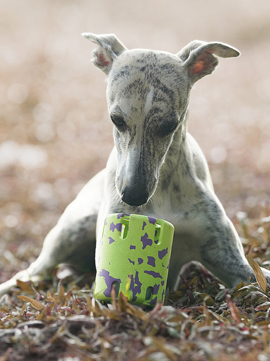 Interactive Dog Treat Dispenser Toy - Green
