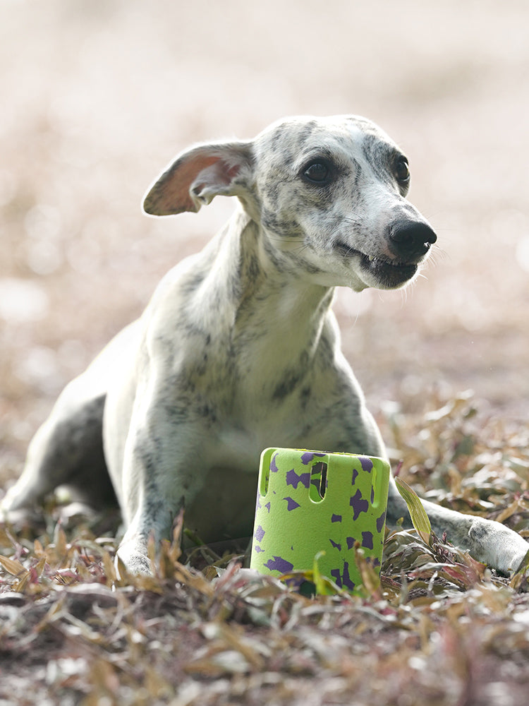 Interactive Dog Treat Dispenser Toy - Green