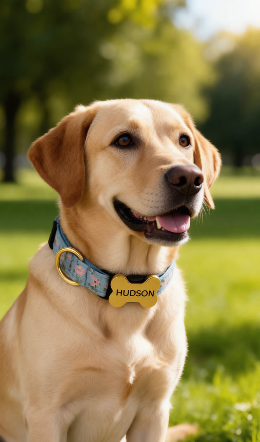 Premium Metal Buckle Collar - Bone Shape Blue with Flower XS