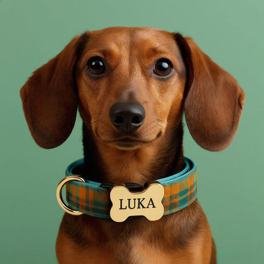 Premium Metal Buckle Collar - Bone Shape Dark Green Plaid