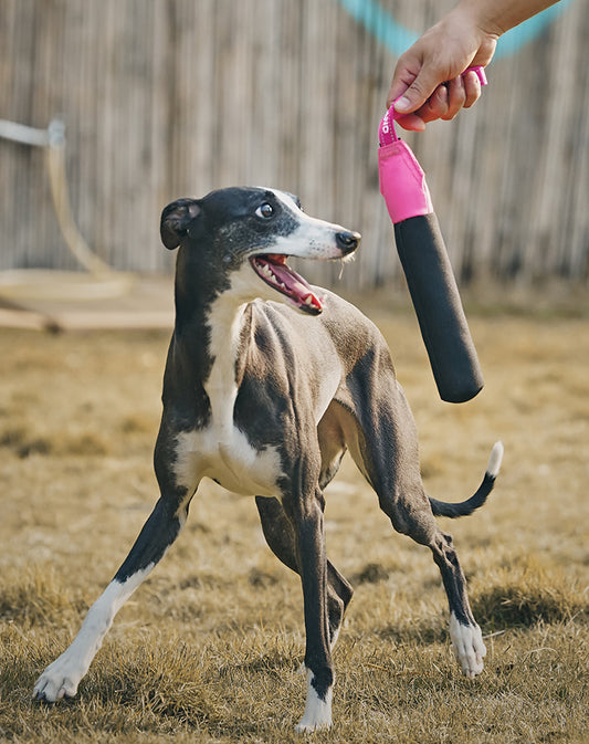 Floating Throw Toy Rink and Black