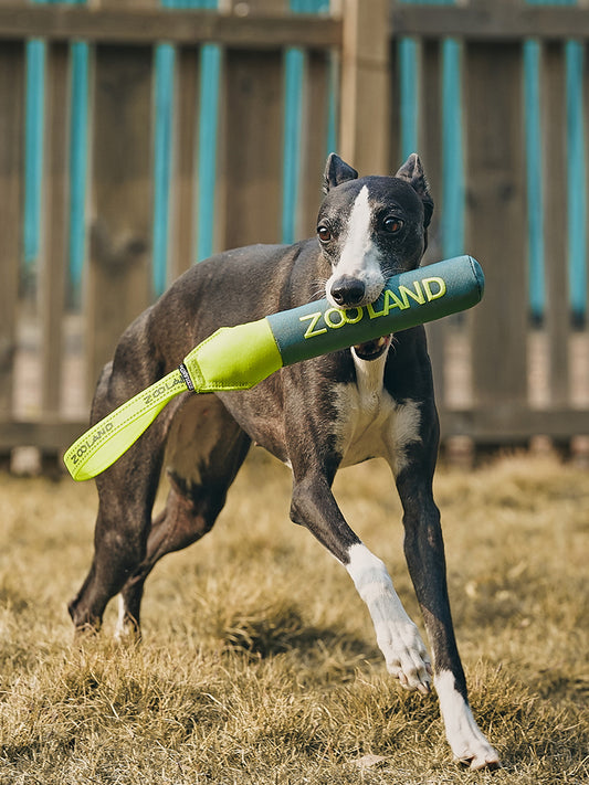 Floating Throw Toy Green