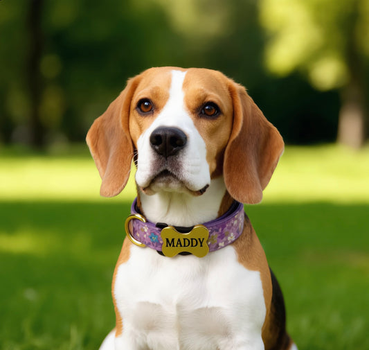 Premium Metal Buckle Collar - Bone Shape Purple with Flower XS