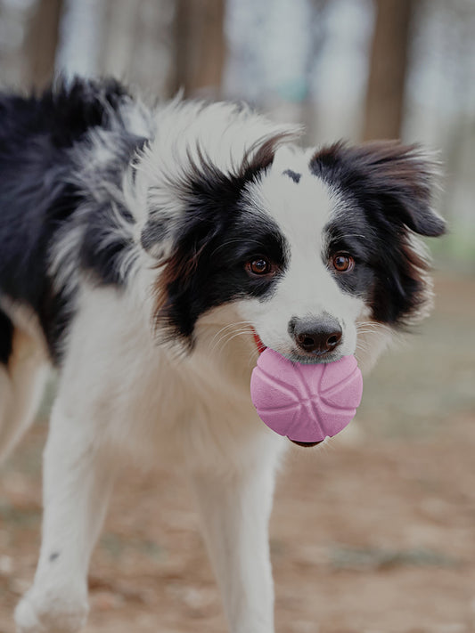 Interactive Dog Treat Dispenser Ball with Built in Squeak Sound - Pink