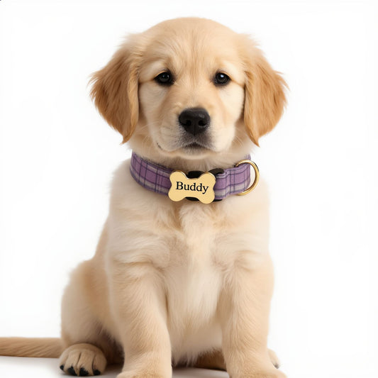 Premium Metal Buckle Collar - Bone Shape Purple Plaid