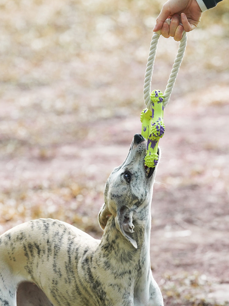 Interactive Rope Toy Green Star
