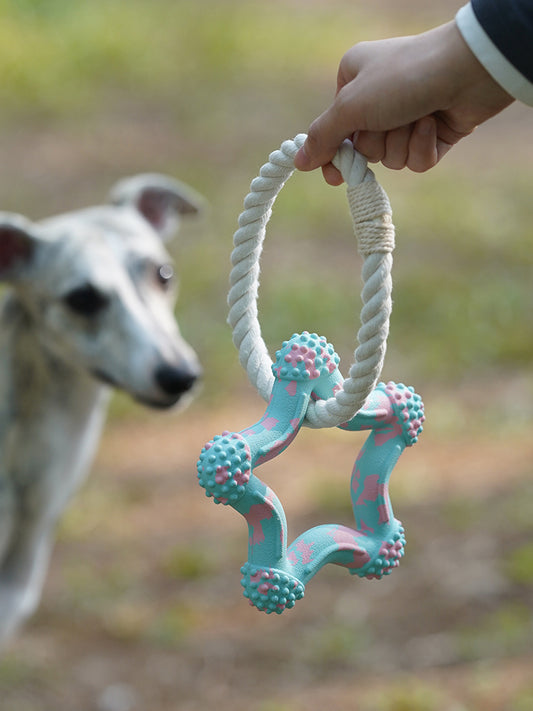 Interactive Rope Toy Blue Star