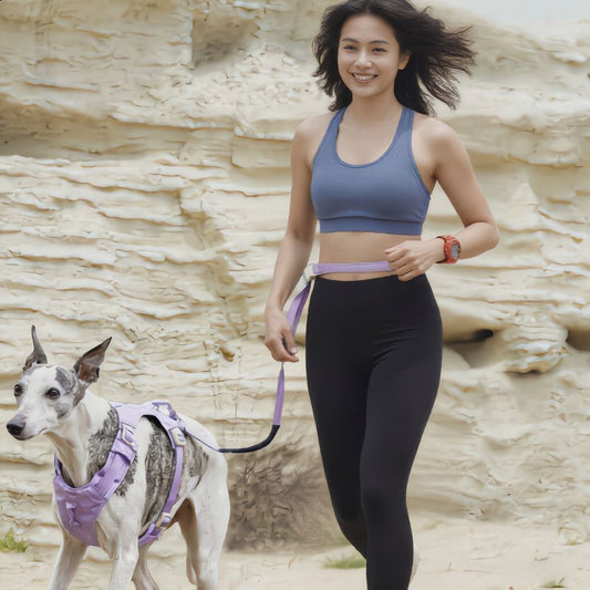 Premium Hands‑Free Dog Leash - Purple