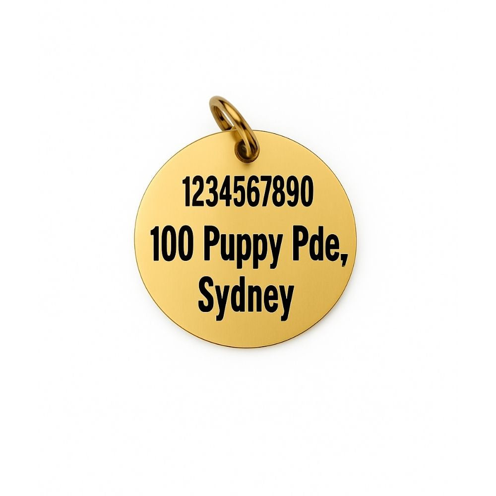 Stainless Steel Pet Tag engraved with your Pet's image