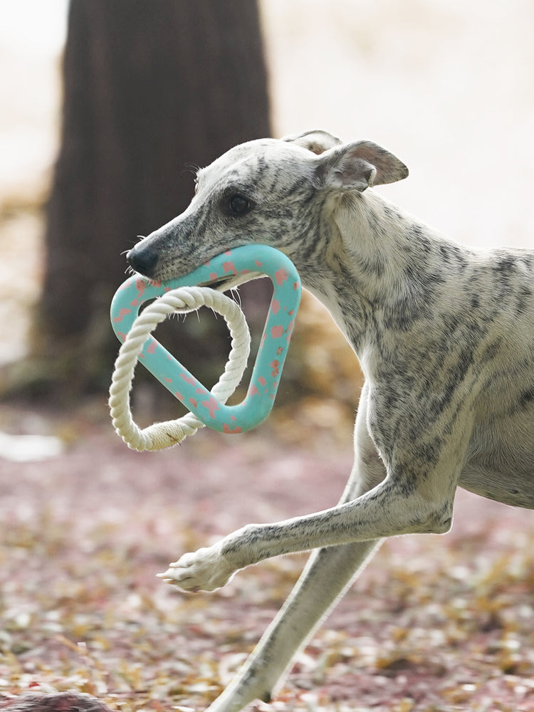 Interactive Rope Toy Blue Triangle