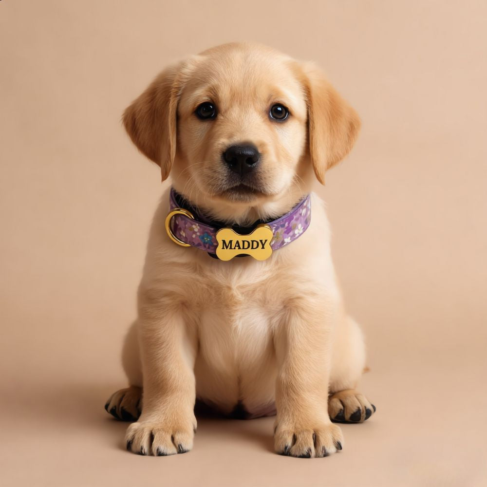 Personalised Engraved Collar