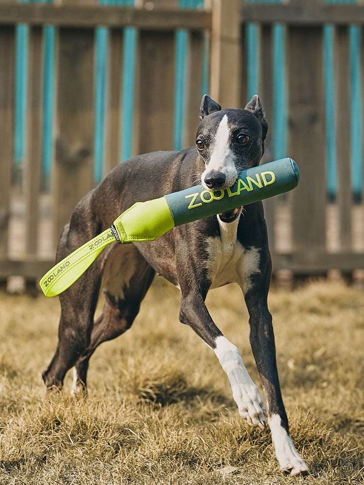 Floating Throw Toy Green