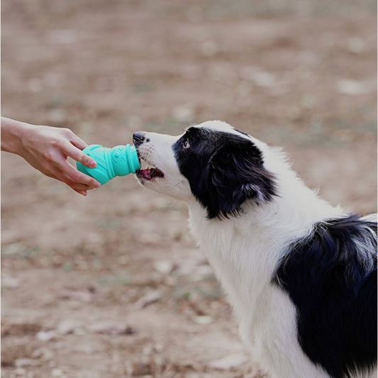 Interactive Dog Treat Dispenser Toy Blue Snowman