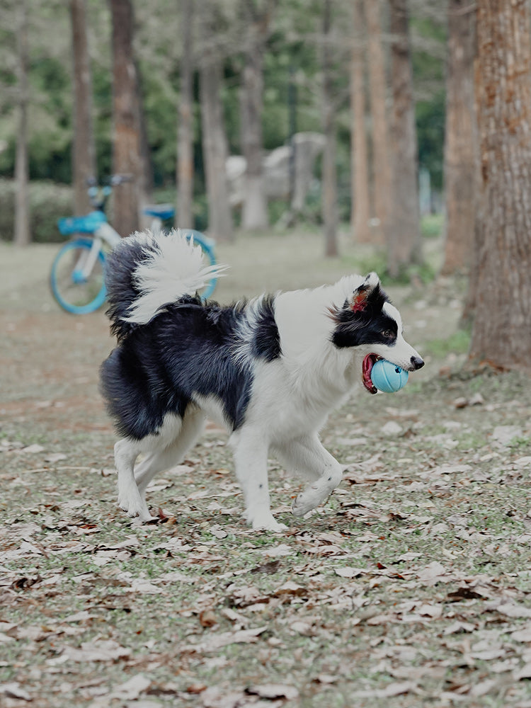 Interactive Dog Treat Dispenser Ball with Built in Squeak Sound - Blue