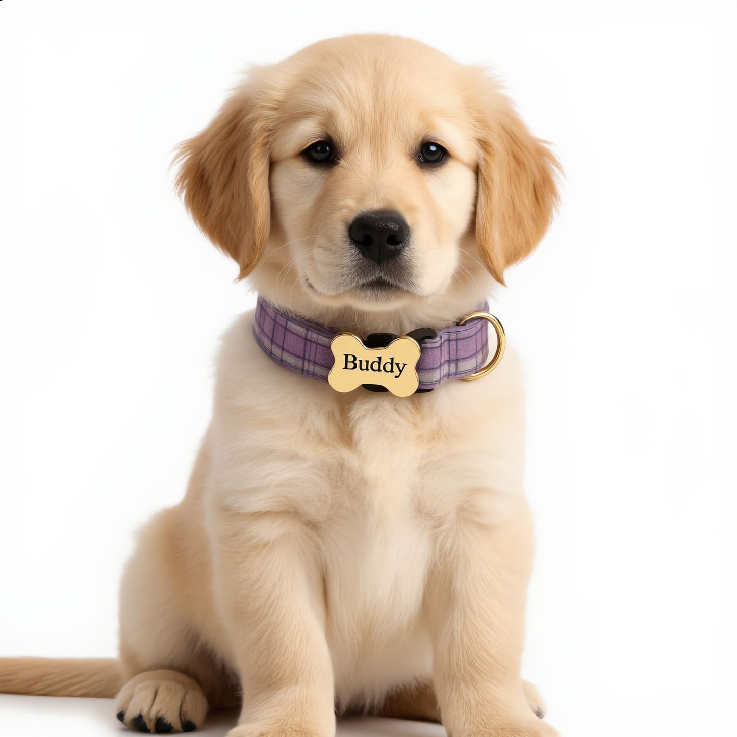 Premium Metal Buckle Collar - Bone Shape Purple Plaid