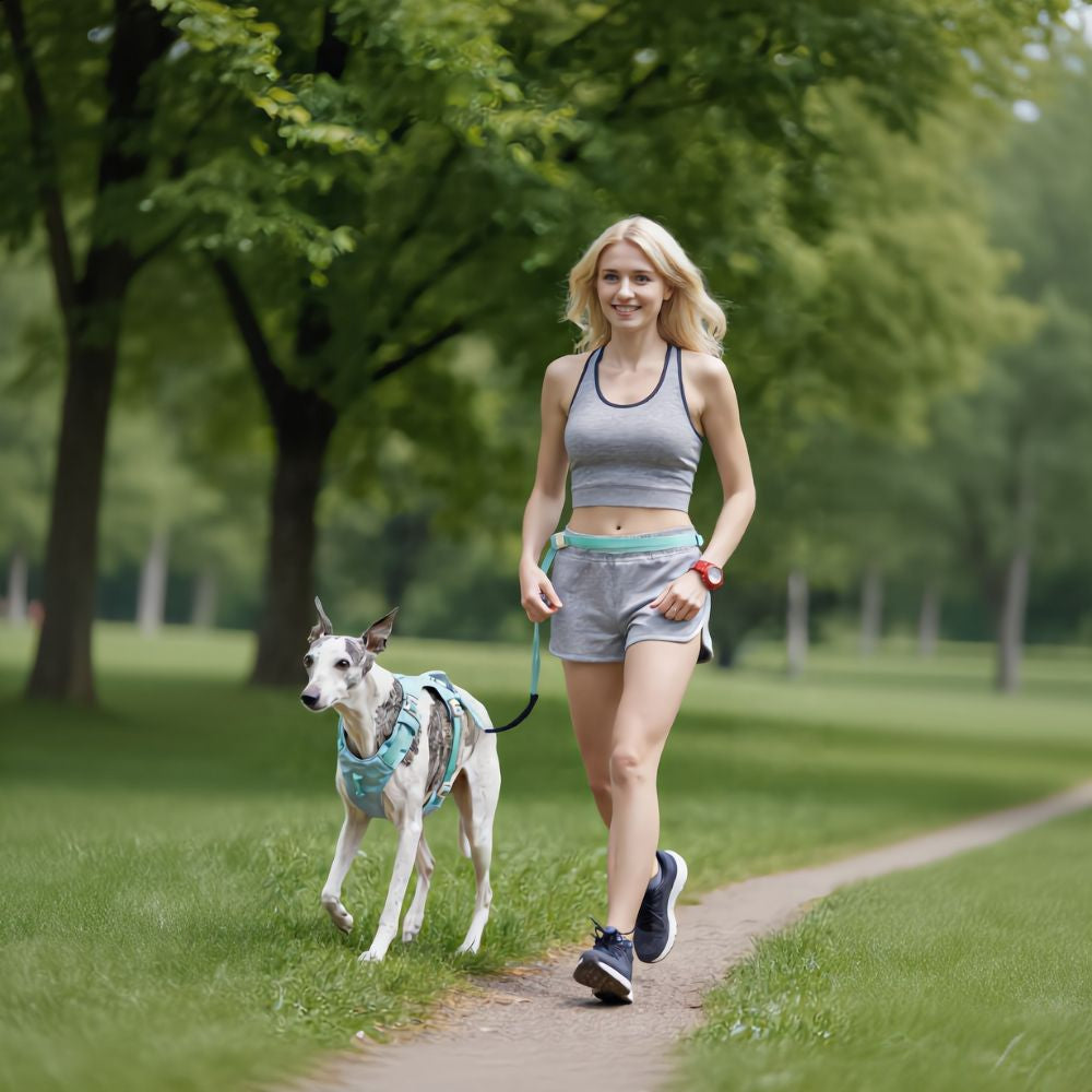 Premium Hands‑Free Dog Leash - Green