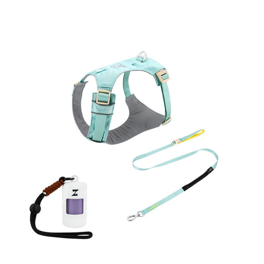 The Walk & Sniff Essentials Trio - Green