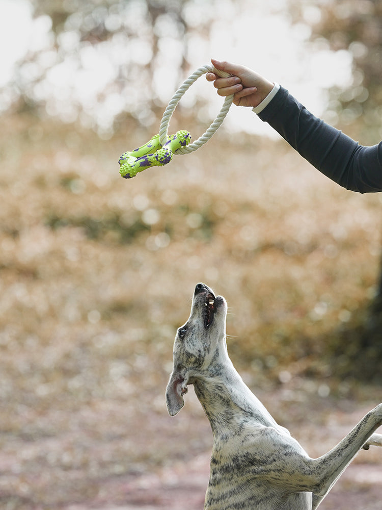 Interactive Rope Toy Green Star