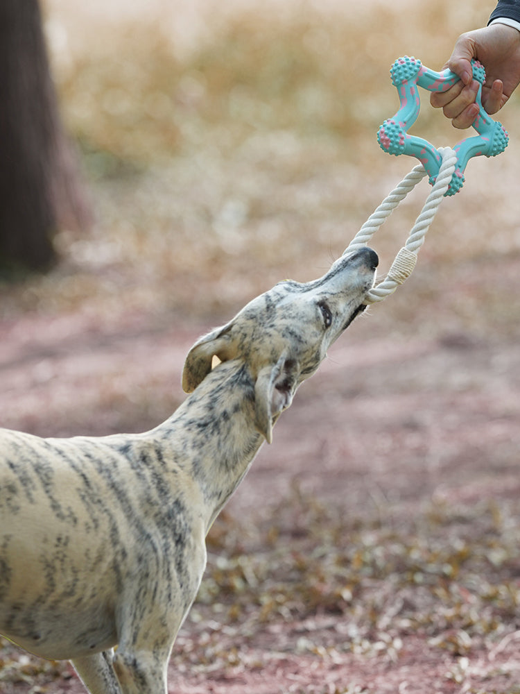 Interactive Rope Toy Blue Star