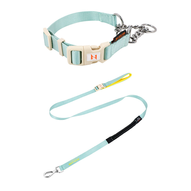 Martingale Collar and Leash Set - Green