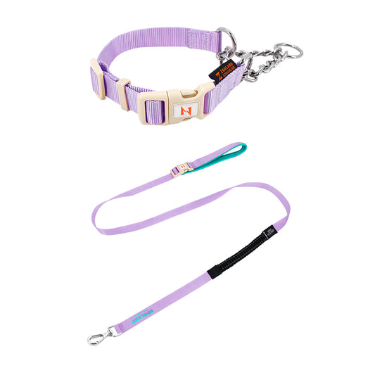 Martingale Collar and Leash Set - Purple