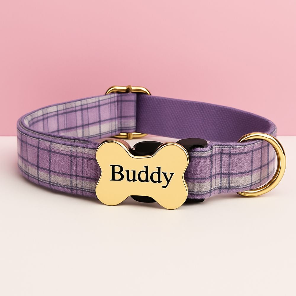 Purple plaid dog collar with a gold bone-shaped tag on a pink background