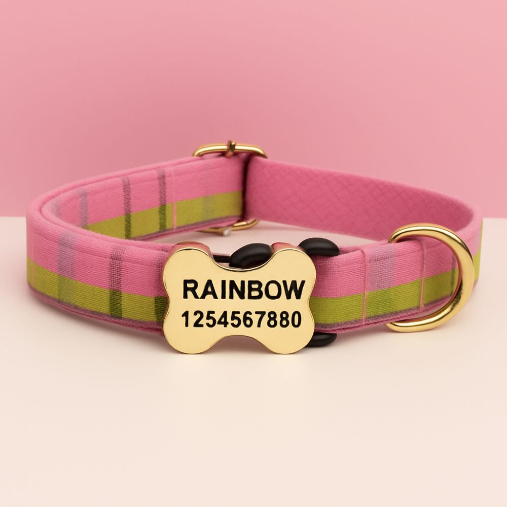 Premium Metal Buckle Collar - Bone Shape Rainbow Plaid