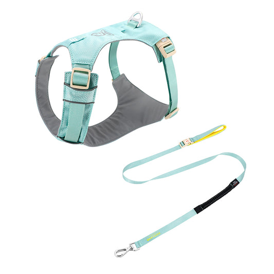 The Walk & Sniff Essentials Duo - Green