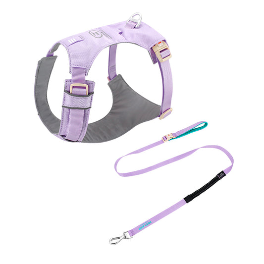 The Walk & Sniff Essentials Duo - Purple