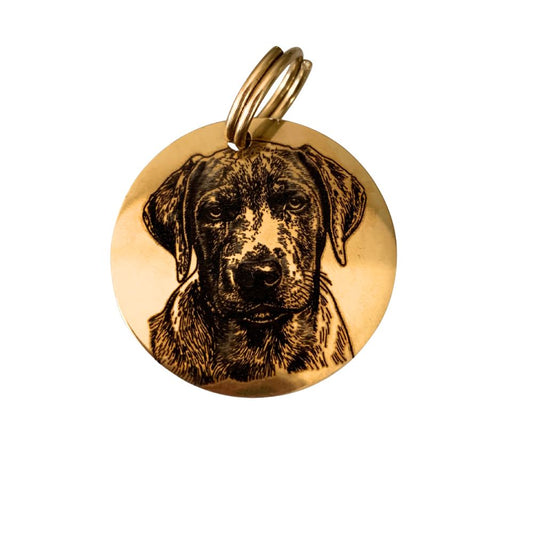 Stainless Steel Pet Tag engraved with your Pet's image