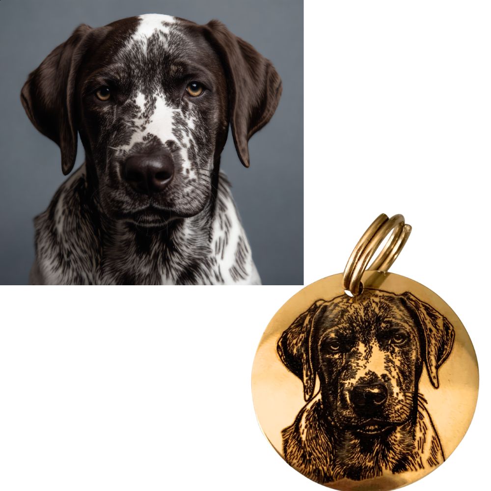 Stainless Steel Pet Tag engraved with your Pet's image