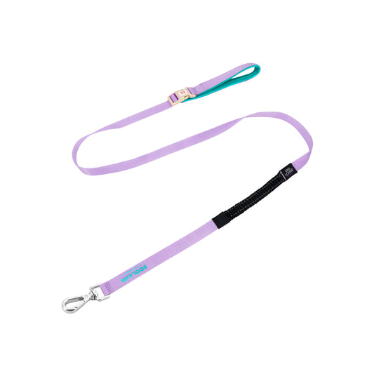 Premium Hands‑Free Dog Leash - Purple