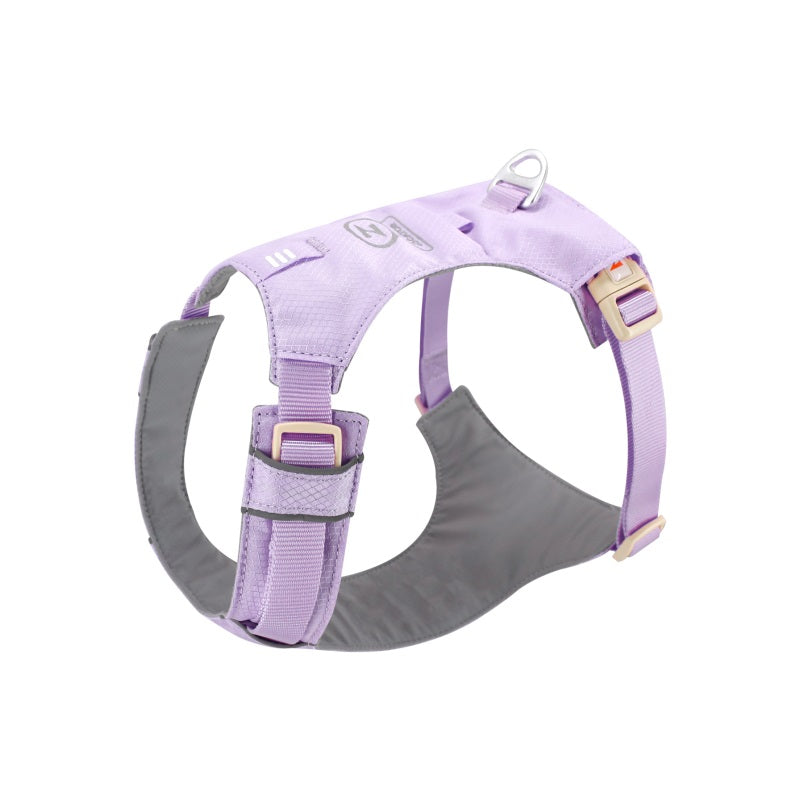 The Walk & Sniff Essentials Trio - Purple