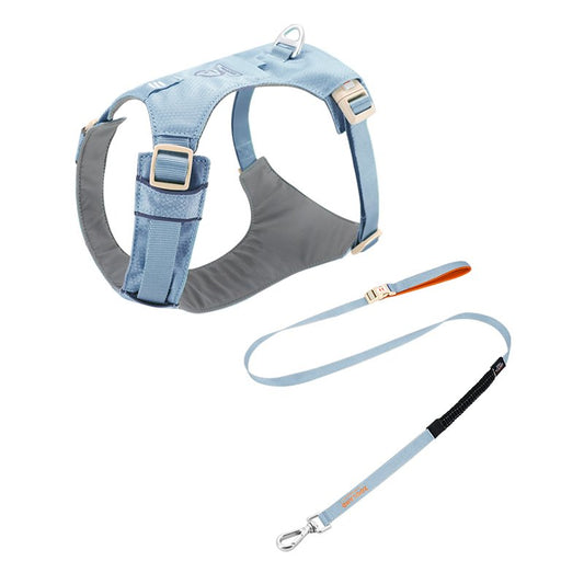 The Walk & Sniff Essentials Duo - Blue